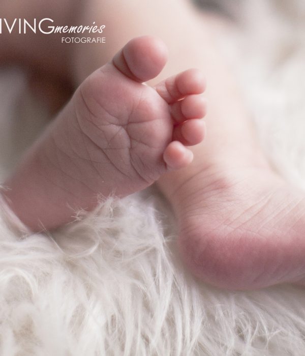 Newborn lifestyle shoot Ter Aar LIVINGmemories fotografie 3 kleur